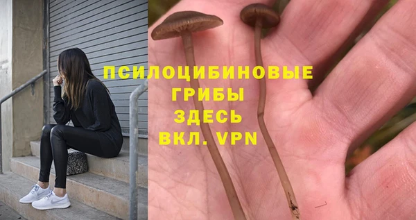 герыч Арсеньев
